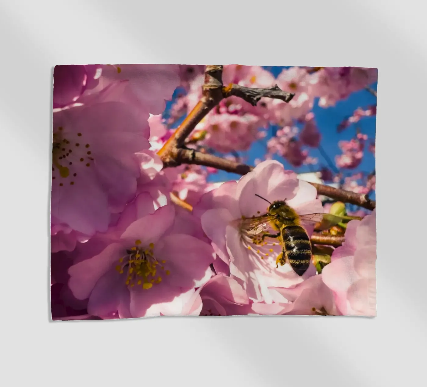 Spring in progress beach towel by Mexposure Gallery