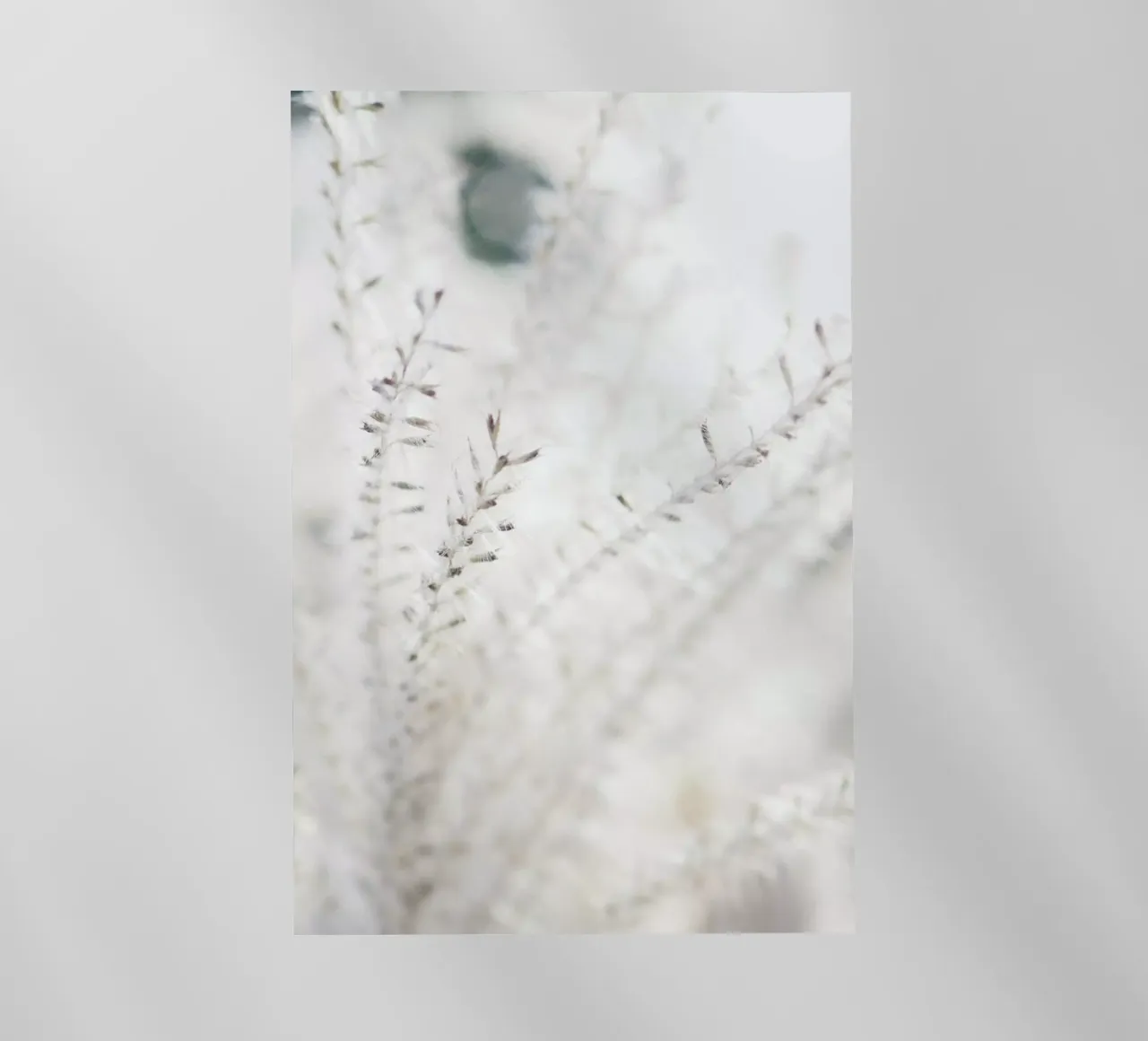 Michael's Grass pellicola backlit da Babett Schultze