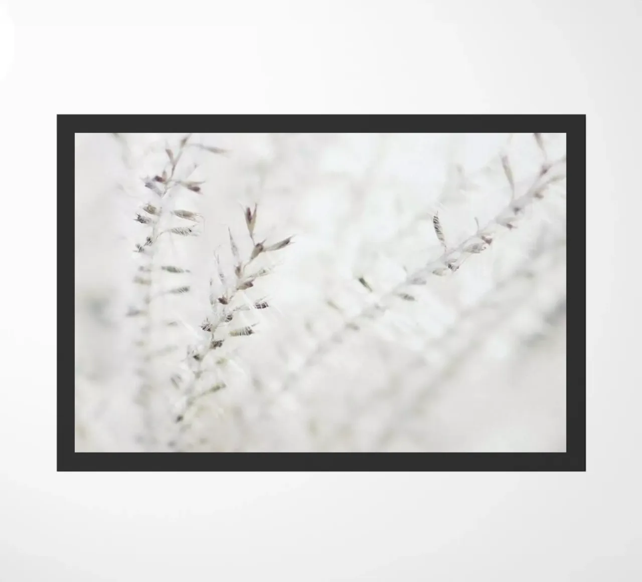 Michael's Grass zerbino da Babett Schultze