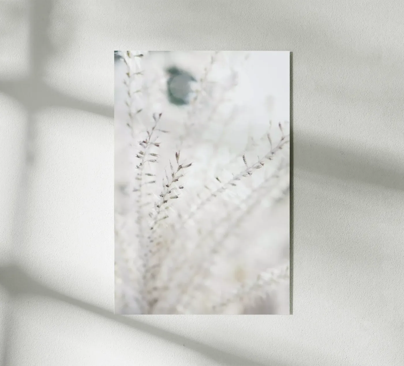 Michael's Grass Acryl-Glas von Babett Schultze