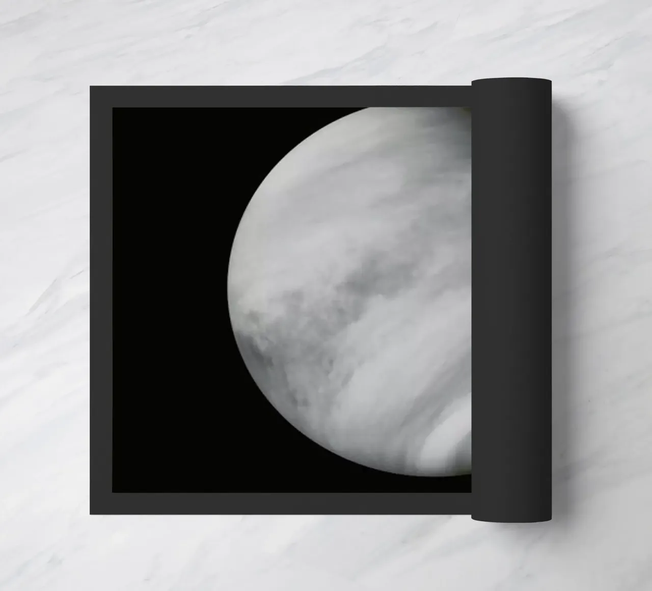 Venus zerbino da Florent Bodart