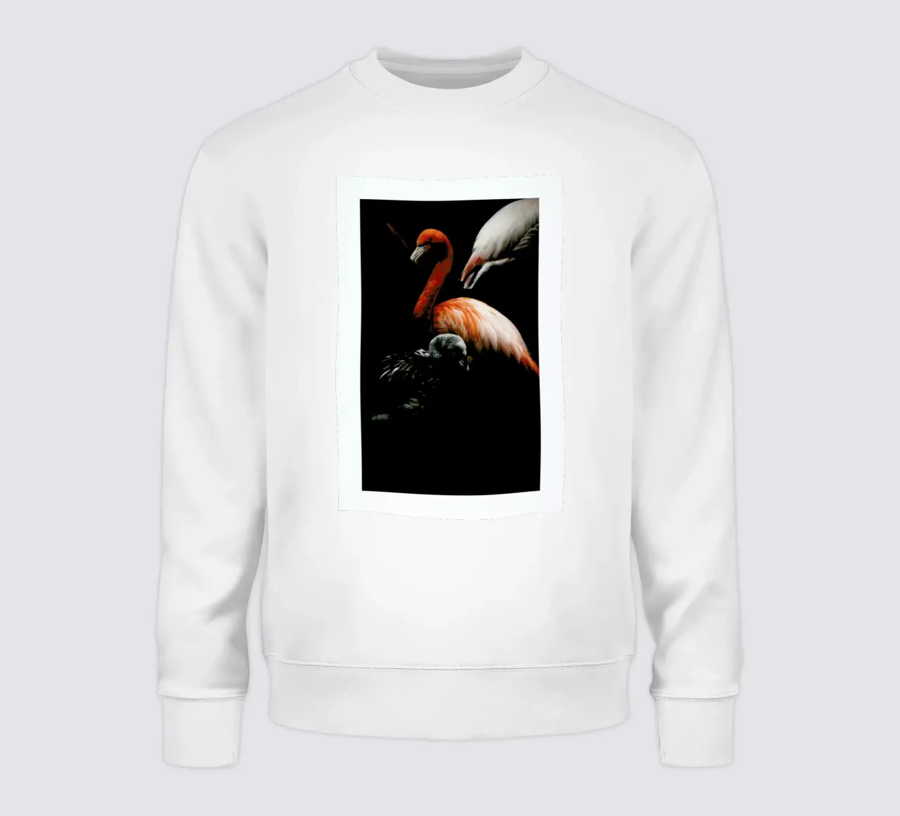The Flock sweatshirt van Natural Kingdom