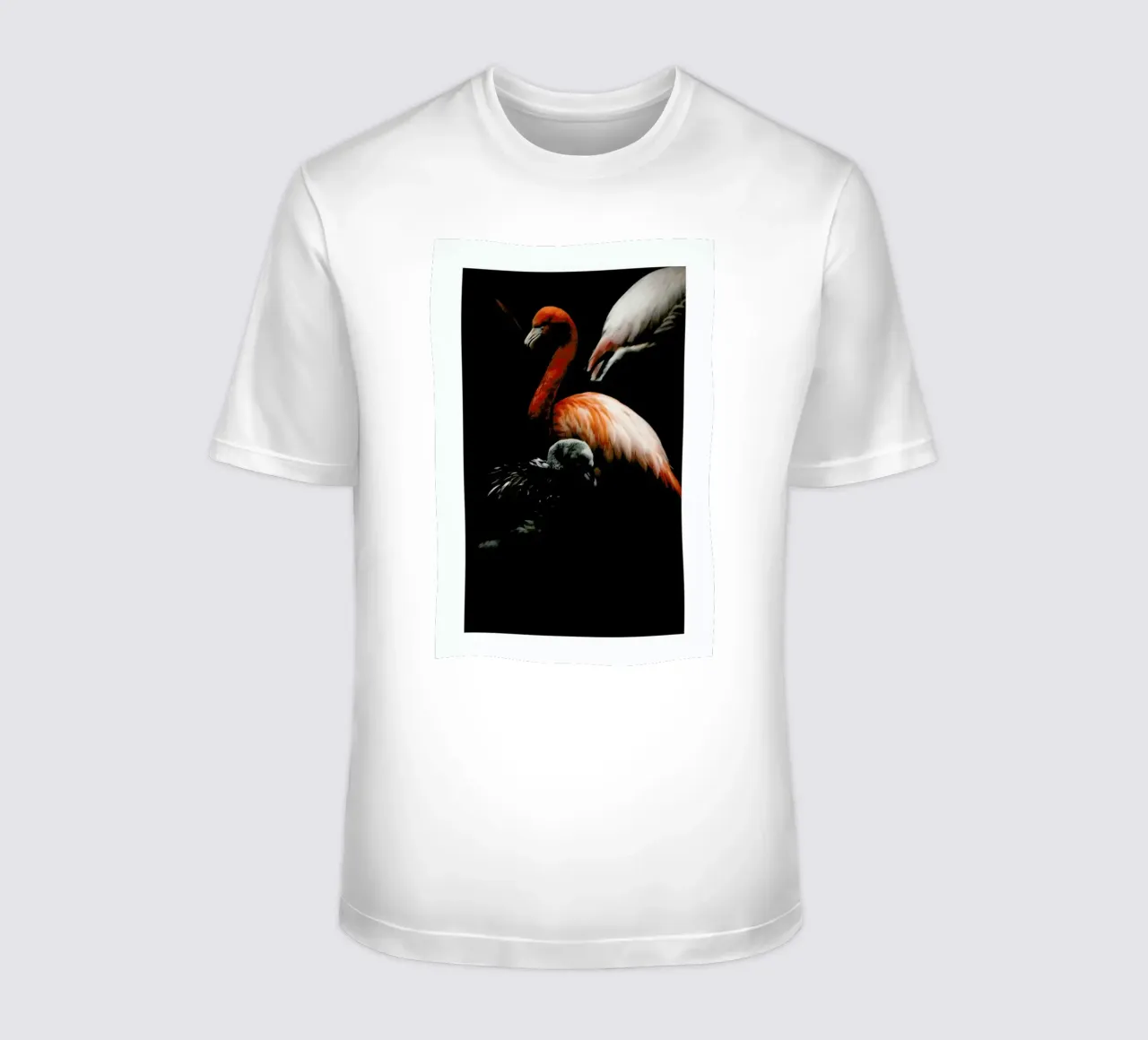 The Flock t-shirt da Natural Kingdom