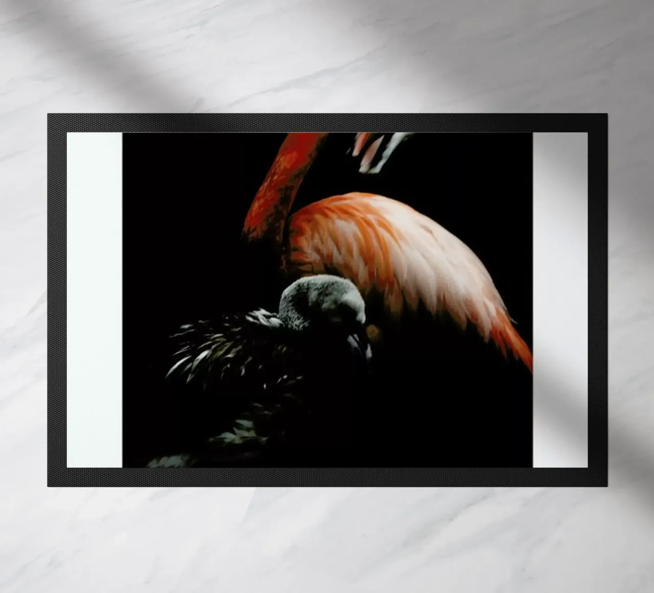 The Flock zerbino da Natural Kingdom