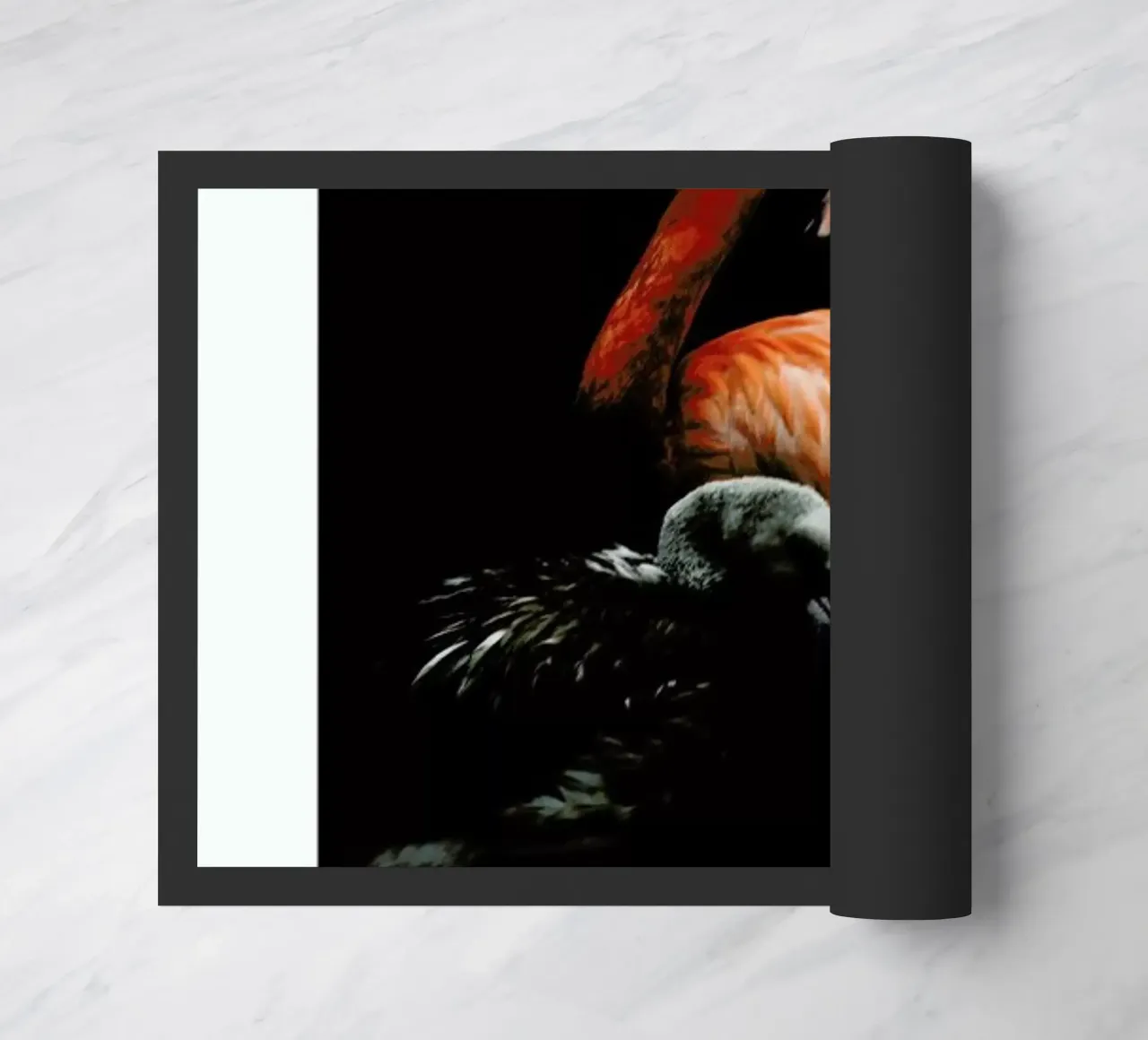 The Flock zerbino da Natural Kingdom