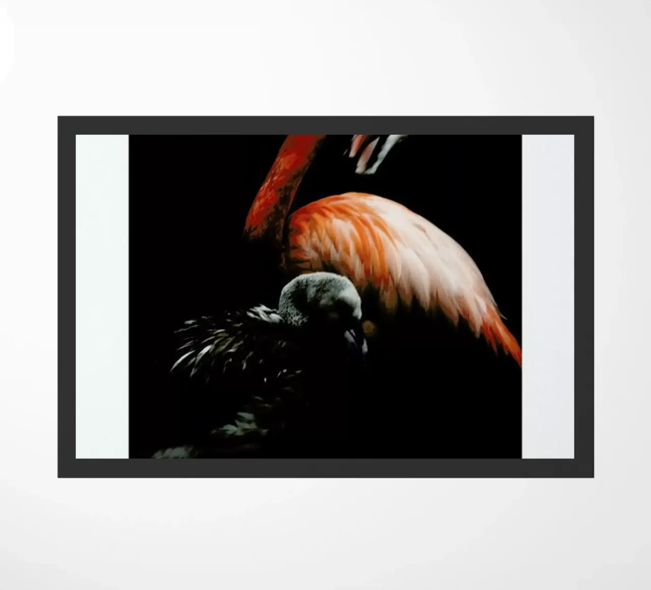 The Flock zerbino da Natural Kingdom