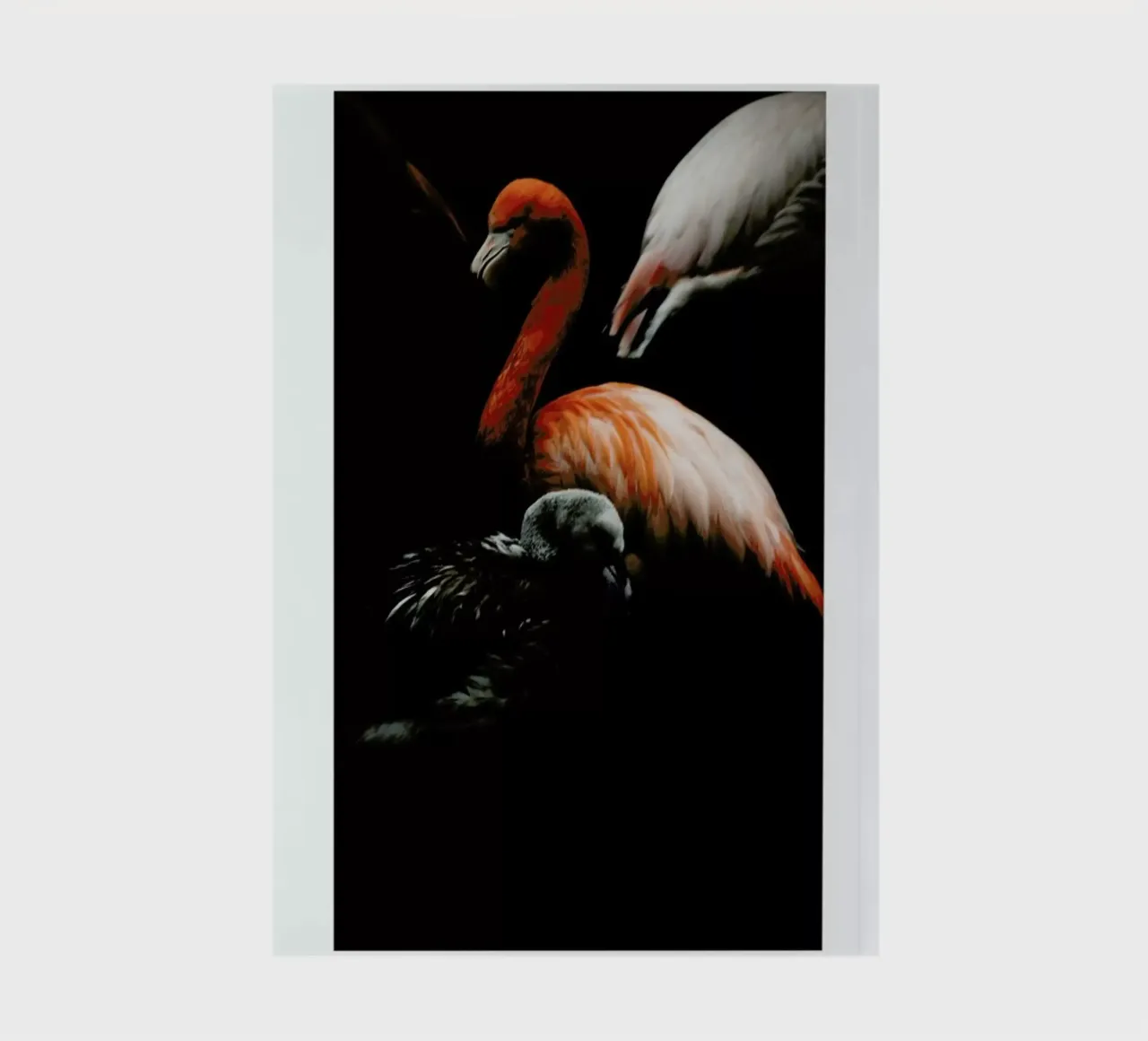 The Flock notebook by Natural Kingdom