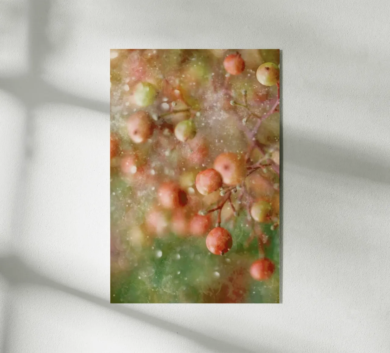 Winter Time - Delphine Devos plexiglass da Pictufy