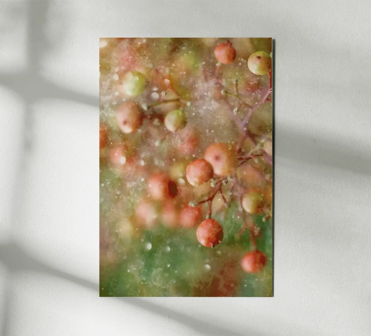 Winter Time  - Delphine Devos alluminio dibond da Pictufy