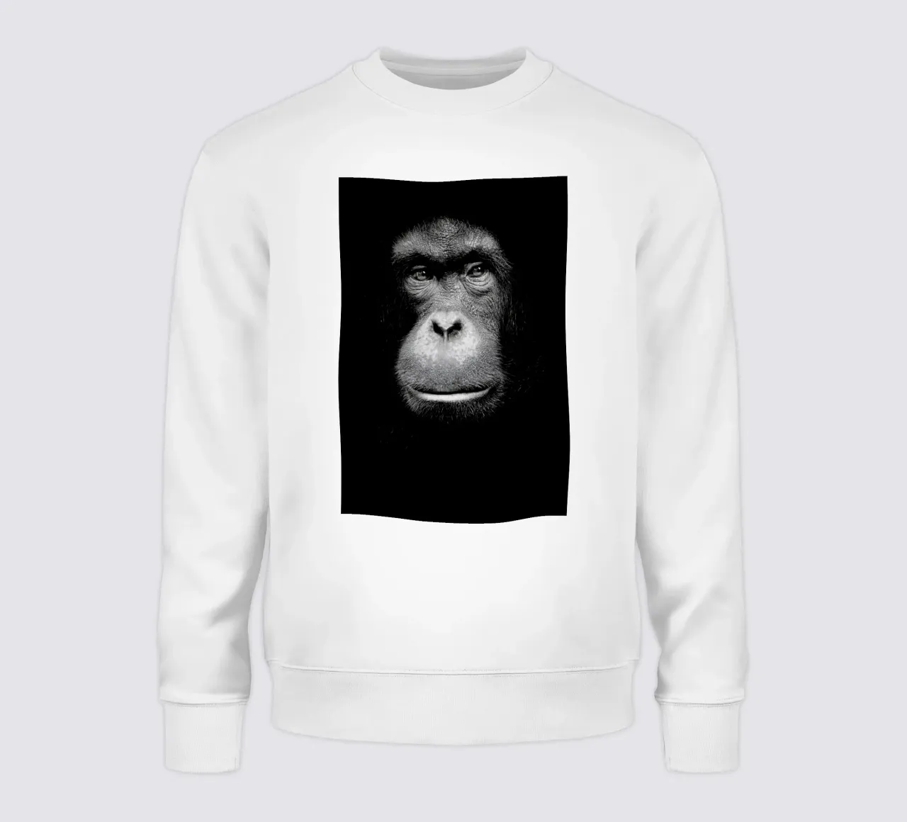 A Certain Kind of Wisdom sweatshirt van Natural Kingdom