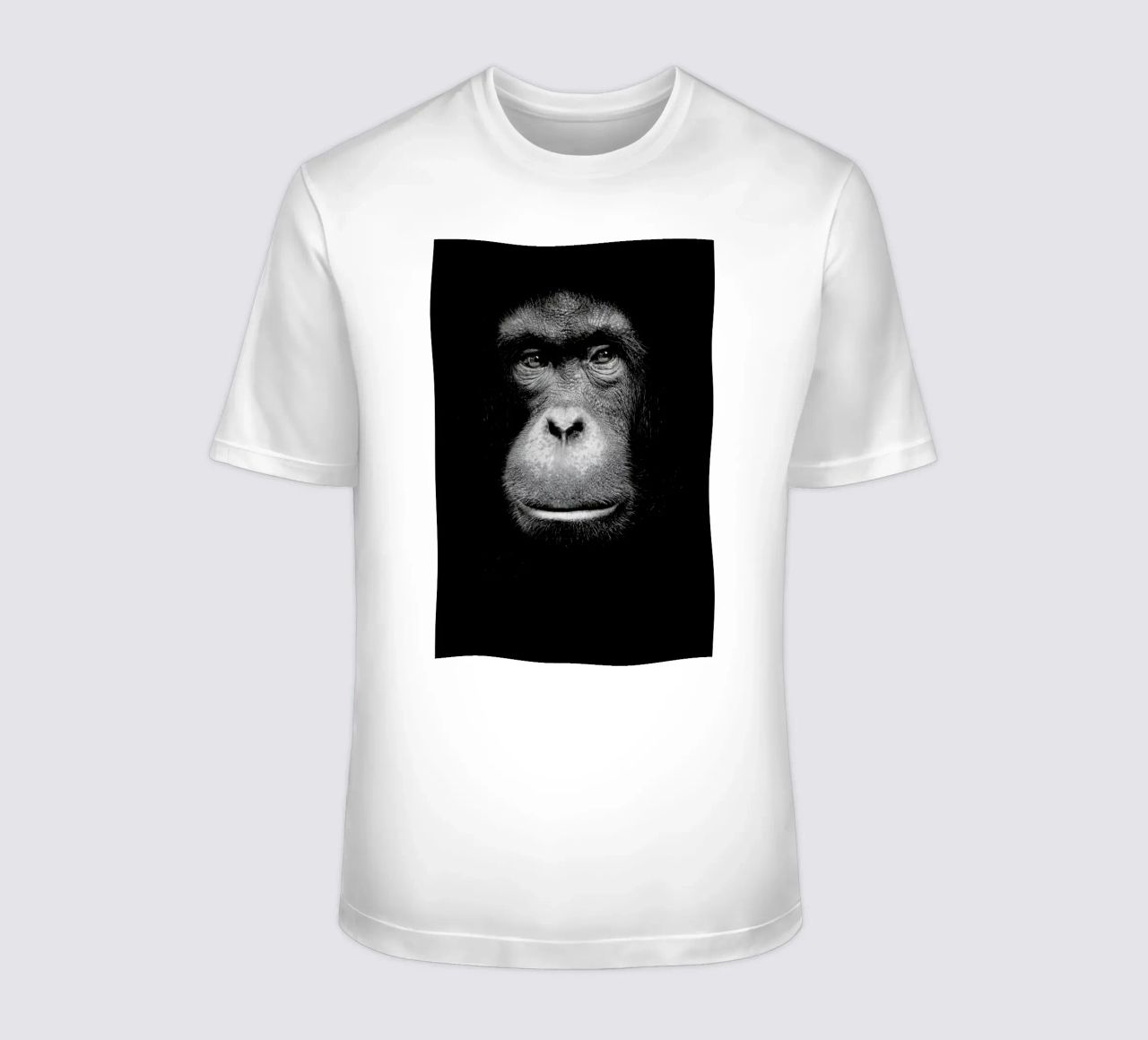 A Certain Kind of Wisdom t-shirt da Natural Kingdom