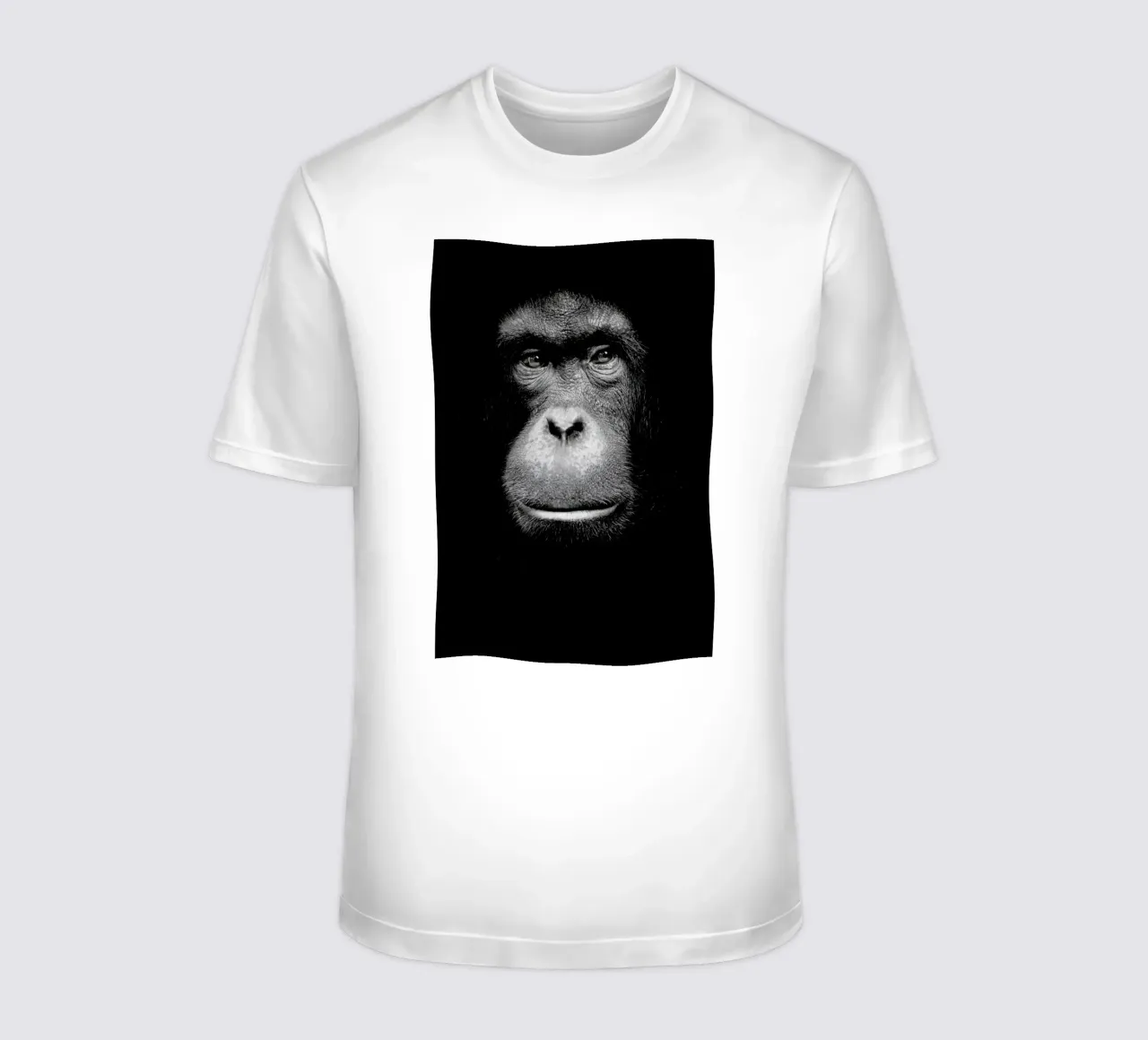 A Certain Kind of Wisdom t-shirt da Natural Kingdom