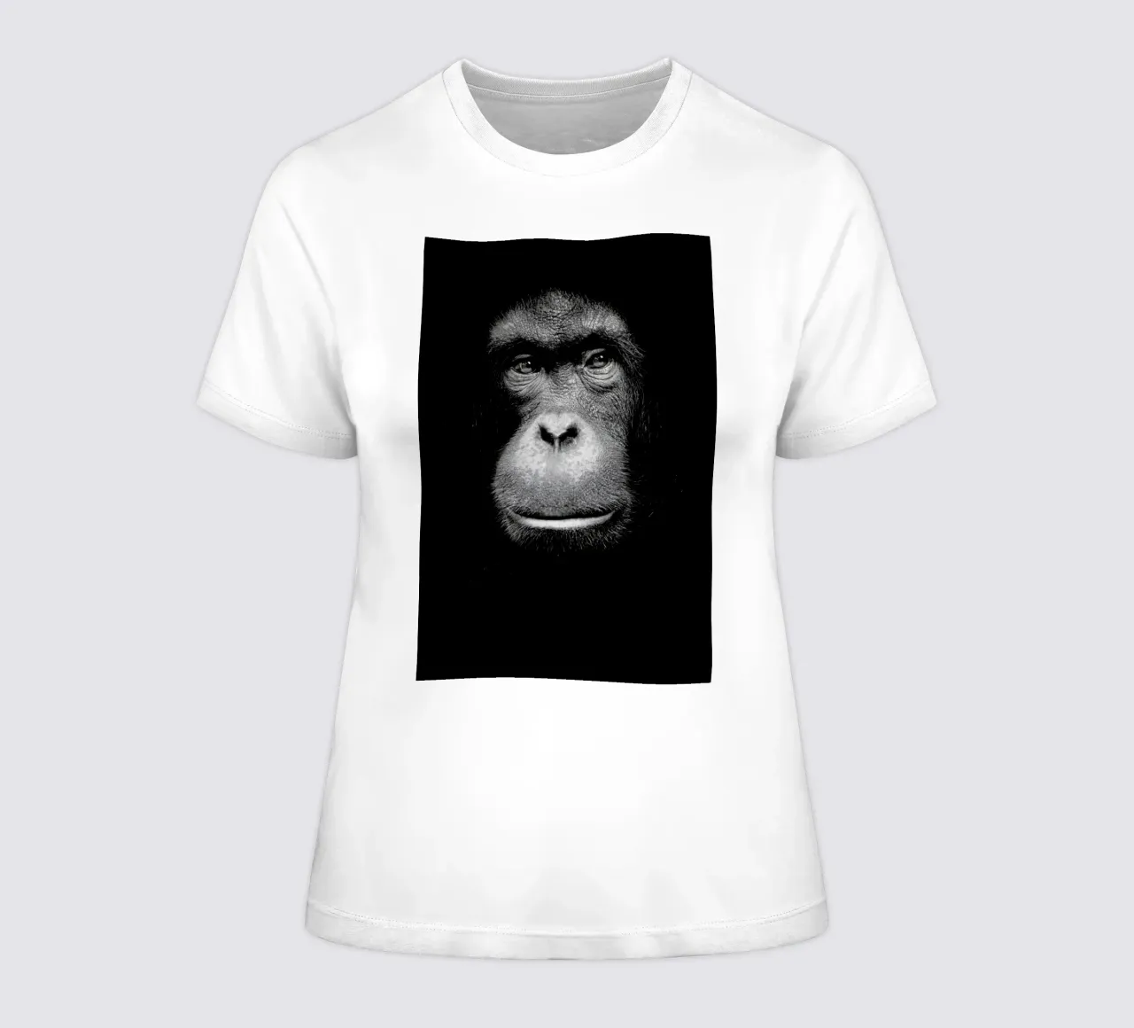 A Certain Kind of Wisdom t-shirt da donna da Natural Kingdom