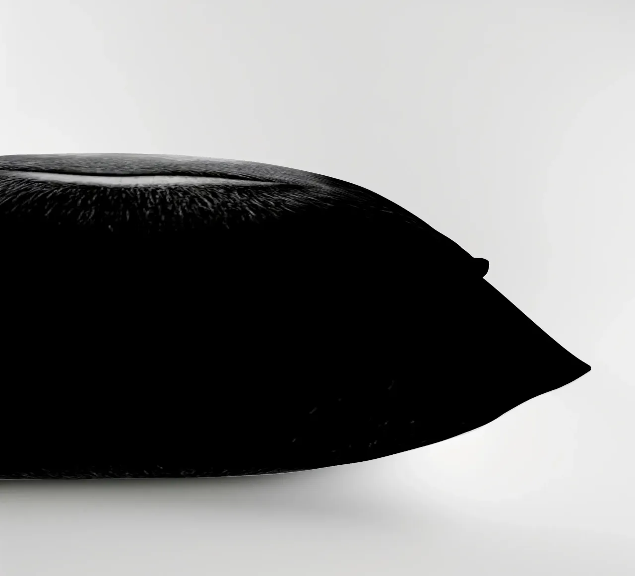 A Certain Kind of Wisdom cuscino da Natural Kingdom