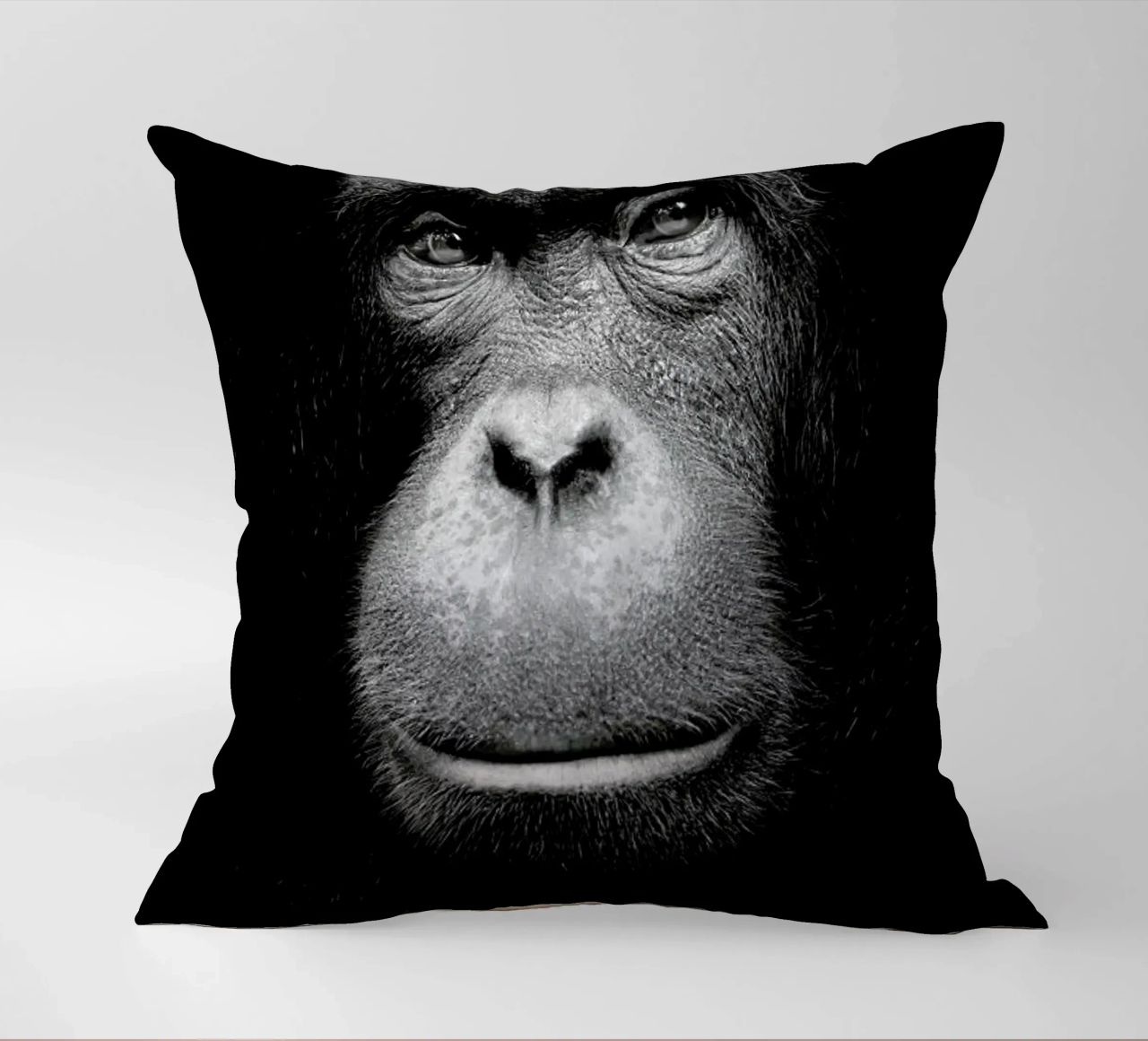 A Certain Kind of Wisdom cuscino da Natural Kingdom