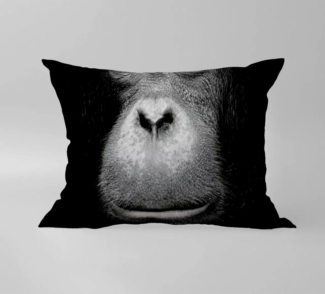 A Certain Kind of Wisdom decorative cushion by Natural Kingdom