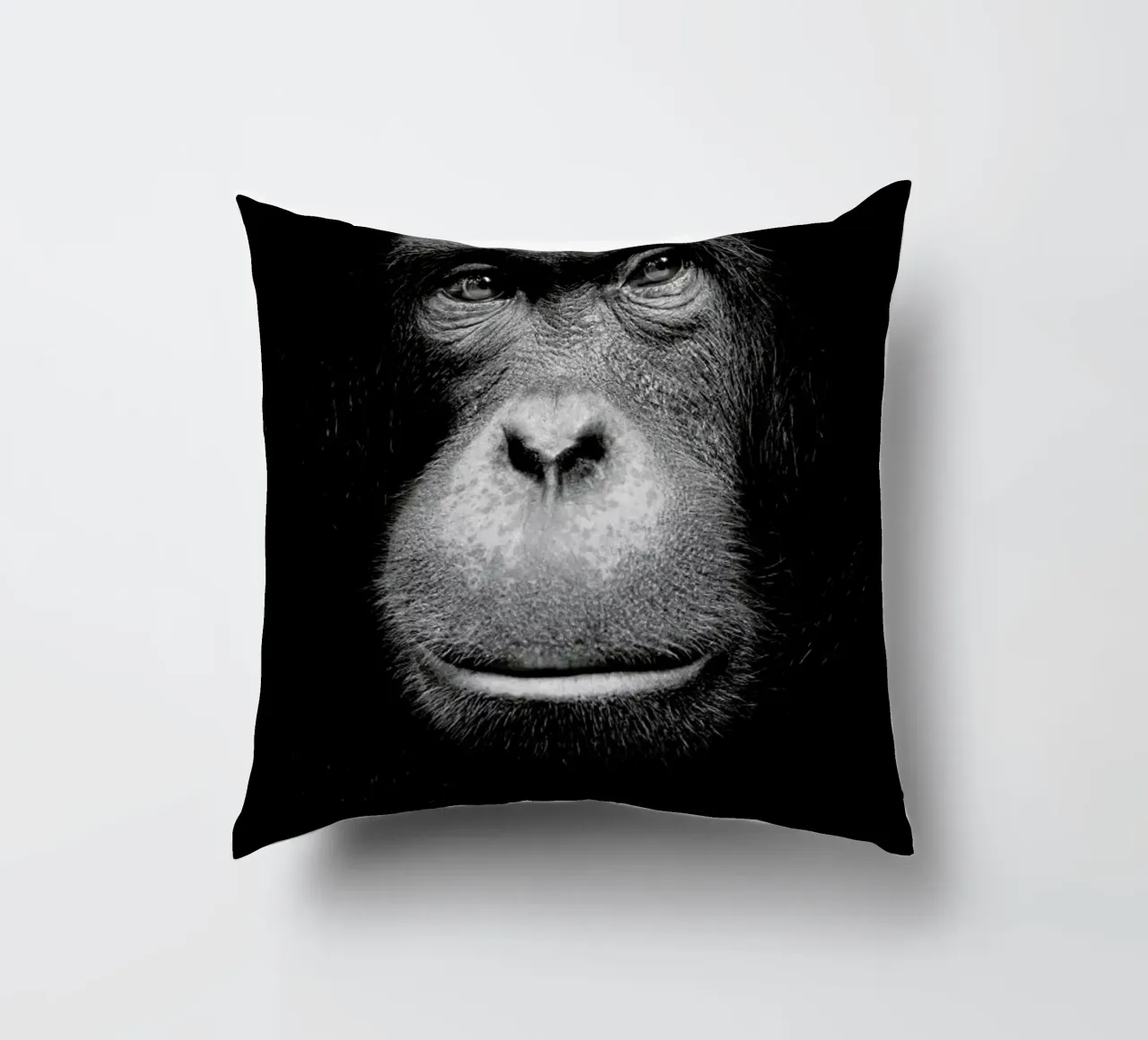 A Certain Kind of Wisdom cuscino da Natural Kingdom