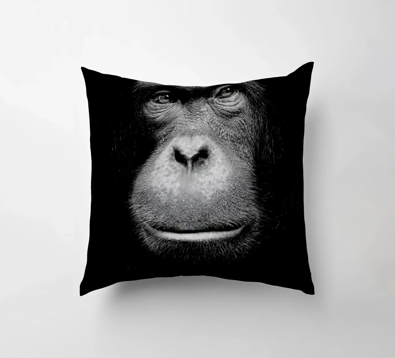 A Certain Kind of Wisdom decorative cushion by Natural Kingdom