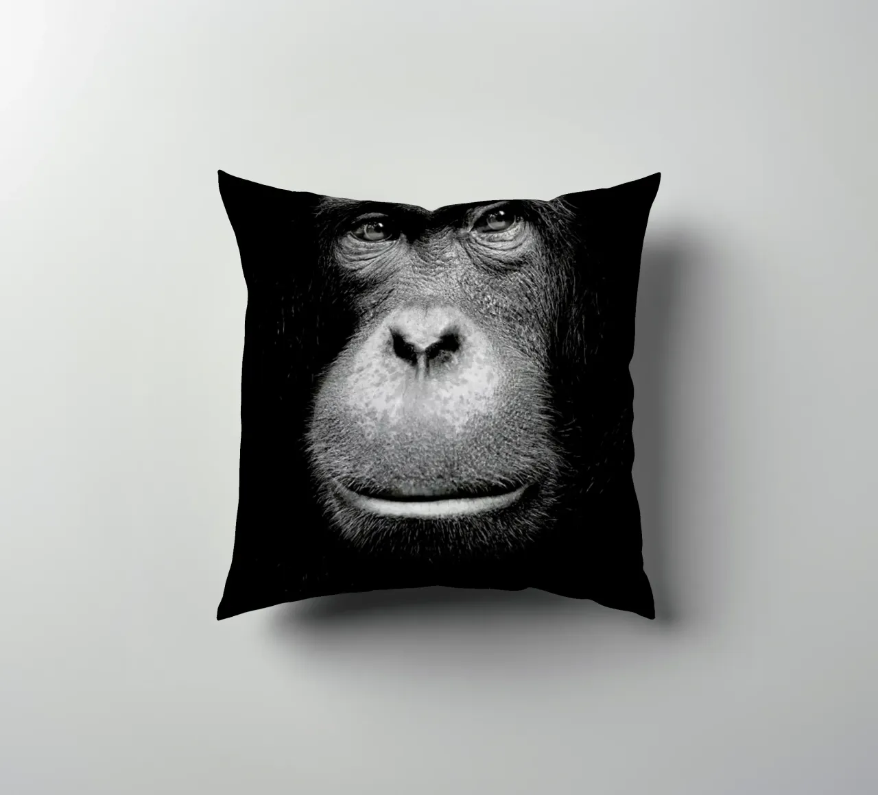 A Certain Kind of Wisdom decorative cushion by Natural Kingdom