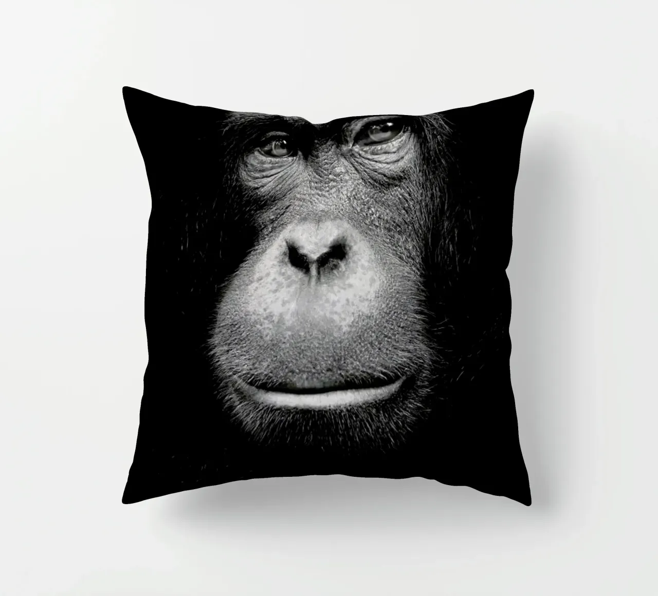 A Certain Kind of Wisdom cuscino da Natural Kingdom