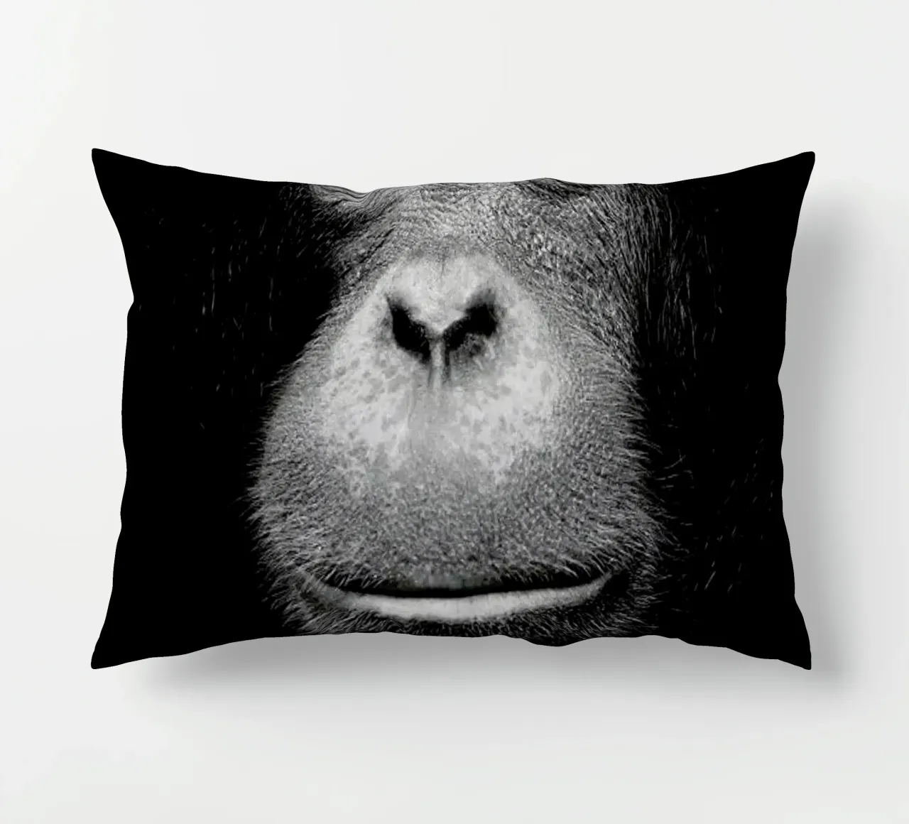 A Certain Kind of Wisdom cuscino da Natural Kingdom