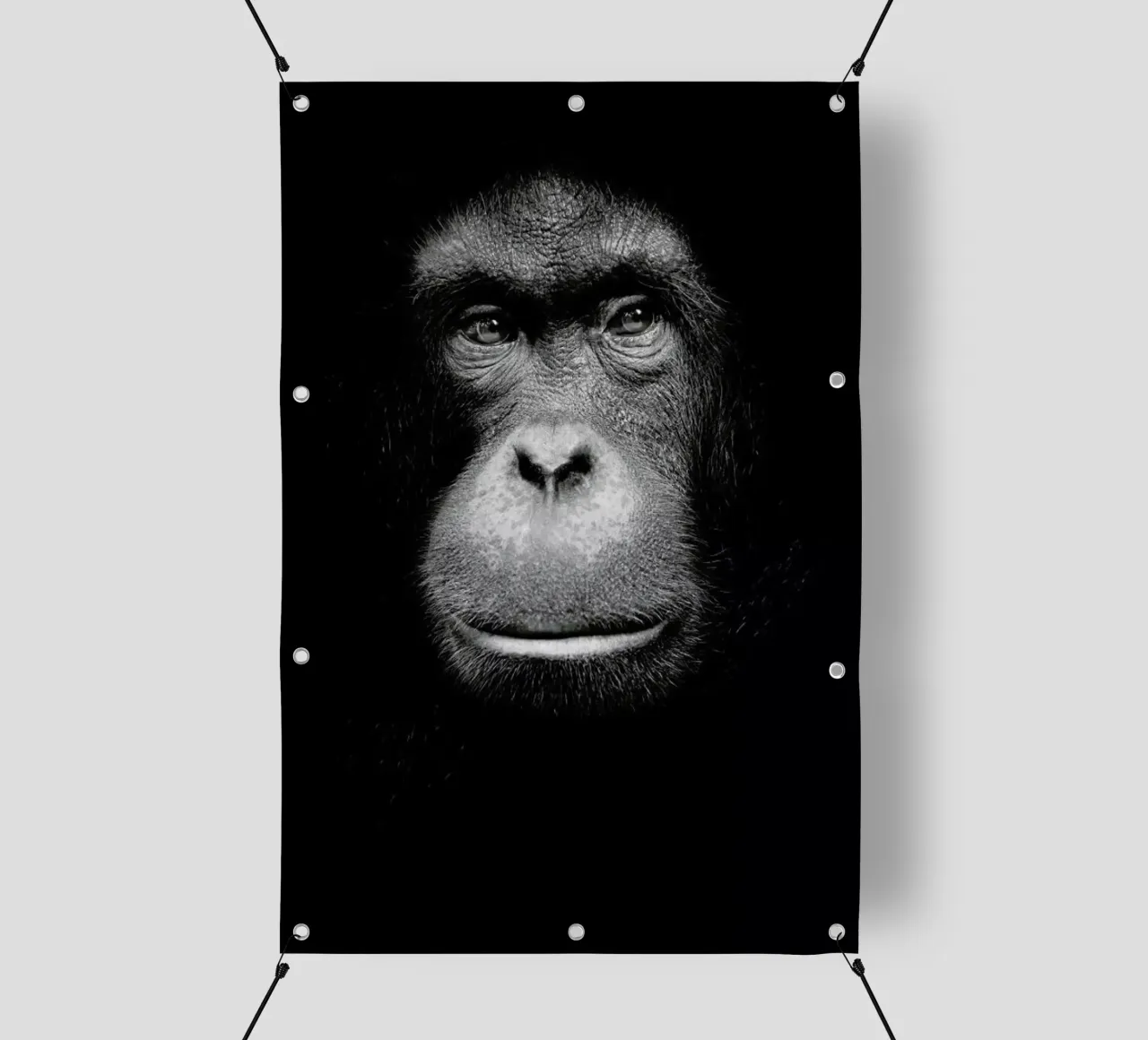 A Certain Kind of Wisdom PVC Plane von Natural Kingdom