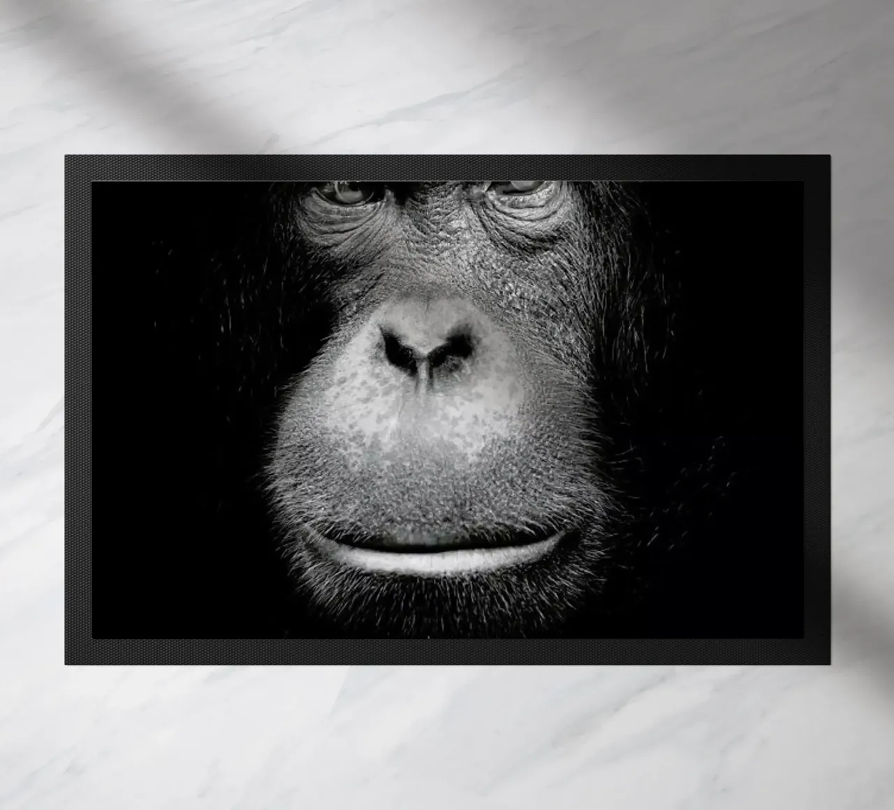 A Certain Kind of Wisdom zerbino da Natural Kingdom