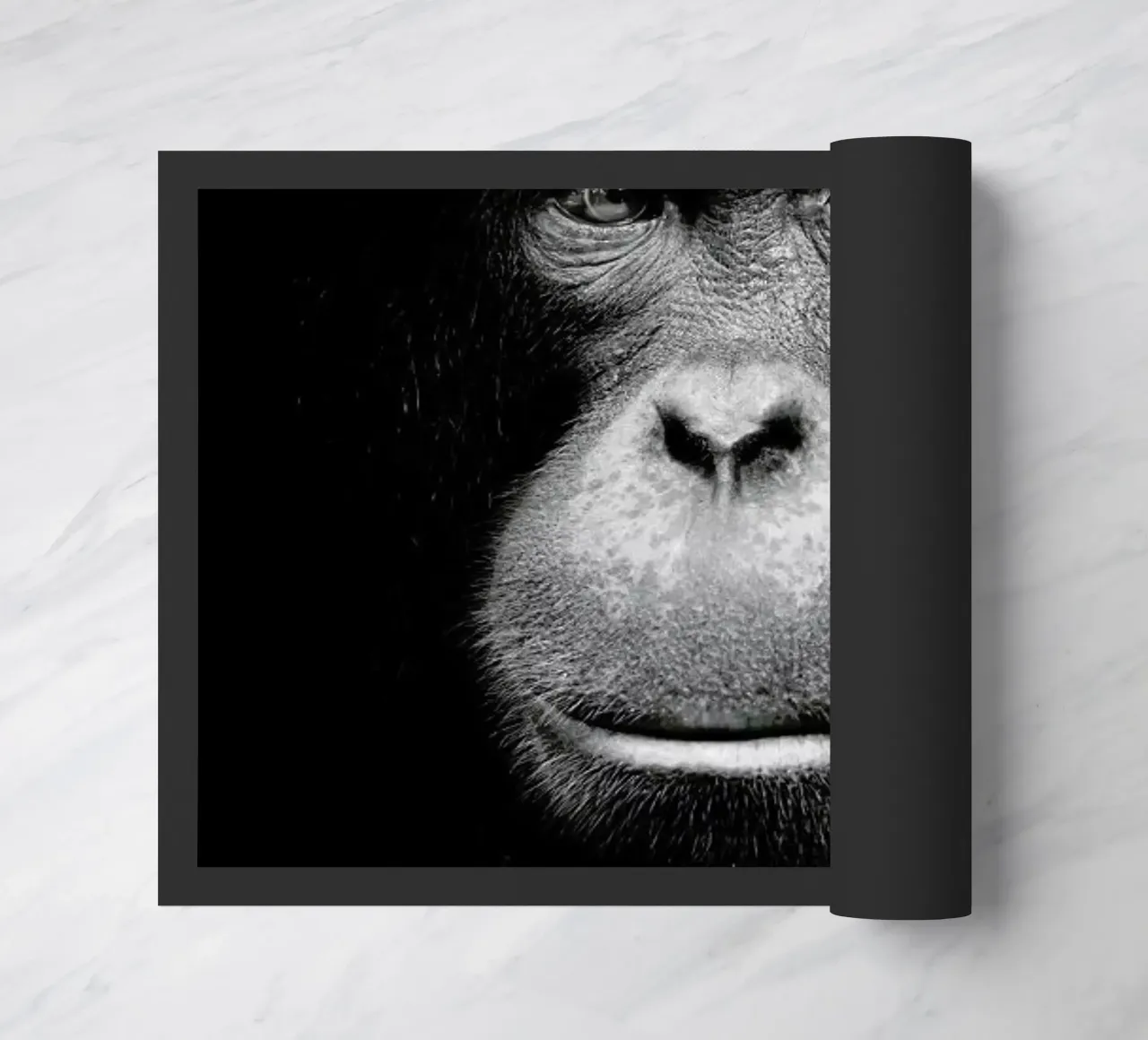 A Certain Kind of Wisdom zerbino da Natural Kingdom