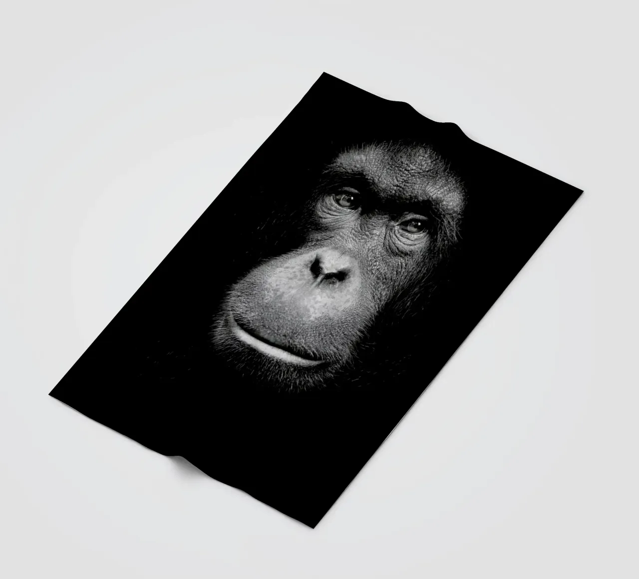 A Certain Kind of Wisdom coperta in pile da Natural Kingdom