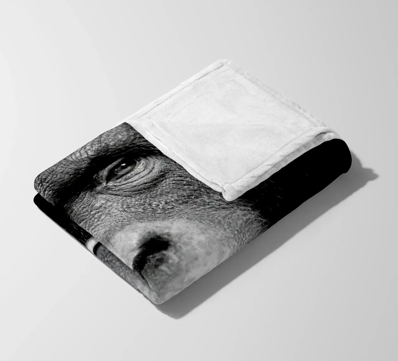 A Certain Kind of Wisdom coperta in pile da Natural Kingdom