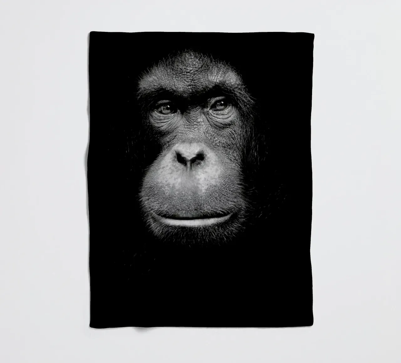 A Certain Kind of Wisdom coperta in pile da Natural Kingdom