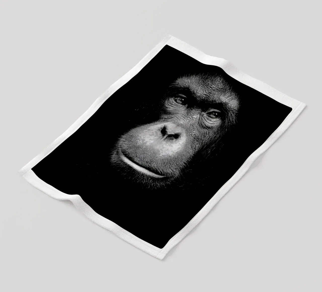 A Certain Kind of Wisdom coperta in pile da Natural Kingdom