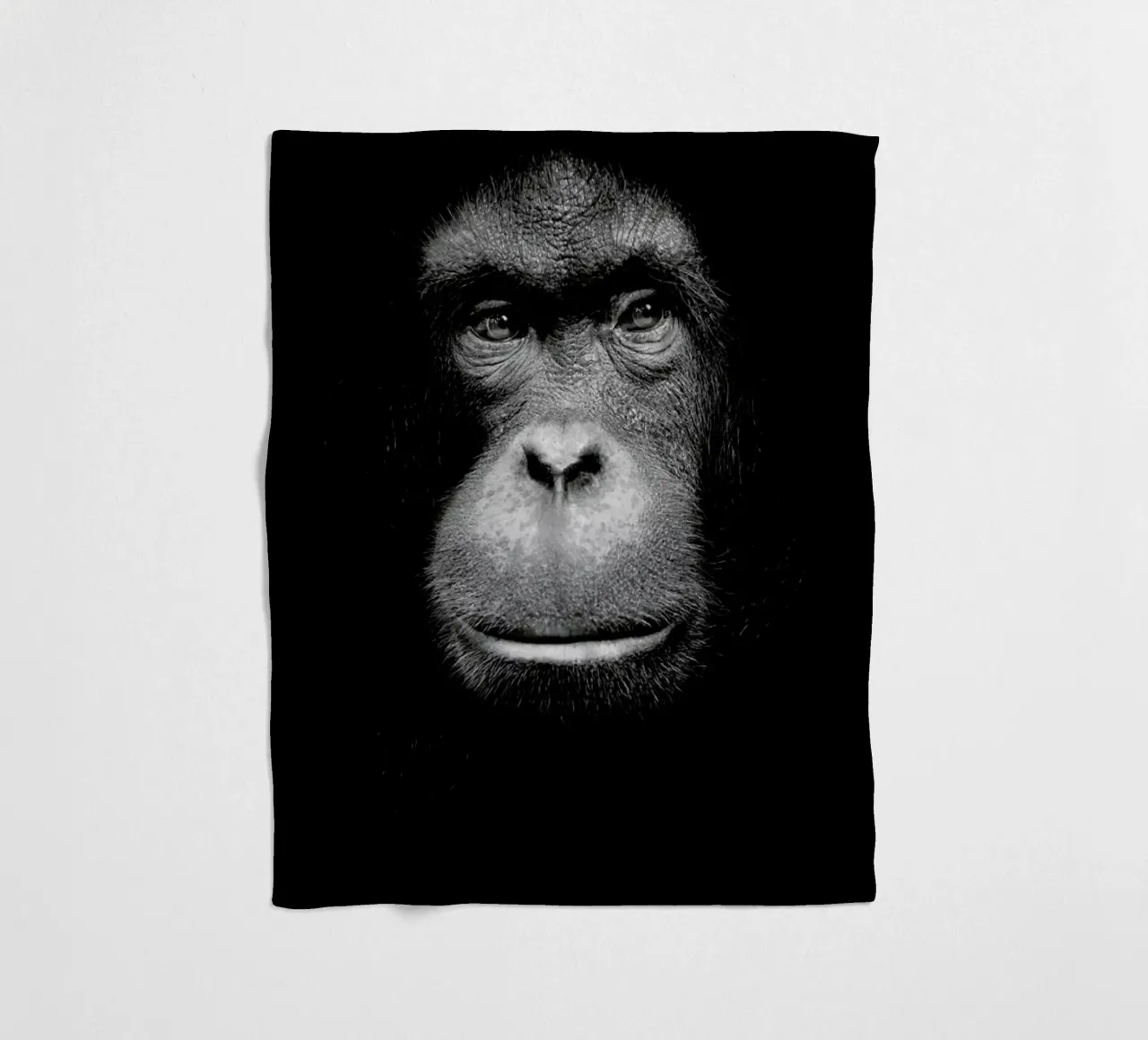 A Certain Kind of Wisdom coperta in pile da Natural Kingdom