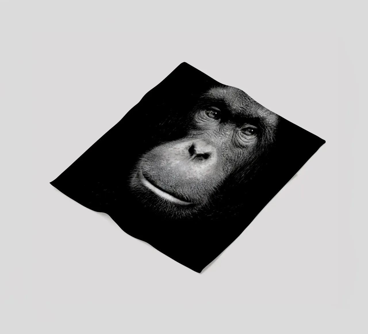 A Certain Kind of Wisdom coperta in pile da Natural Kingdom