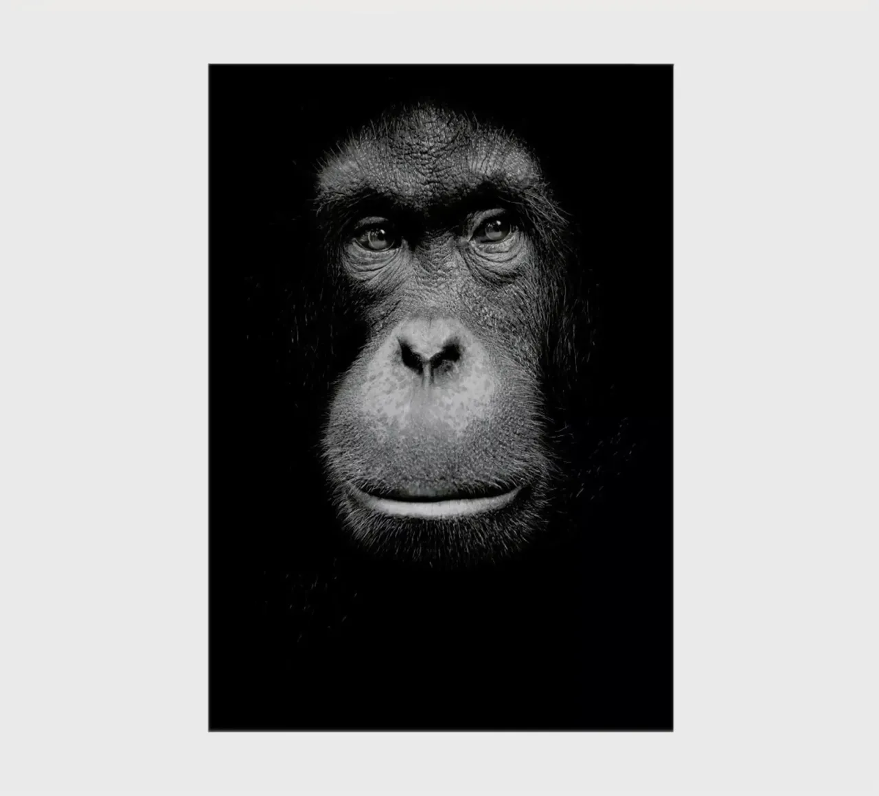 A Certain Kind of Wisdom Notizbuch von Natural Kingdom