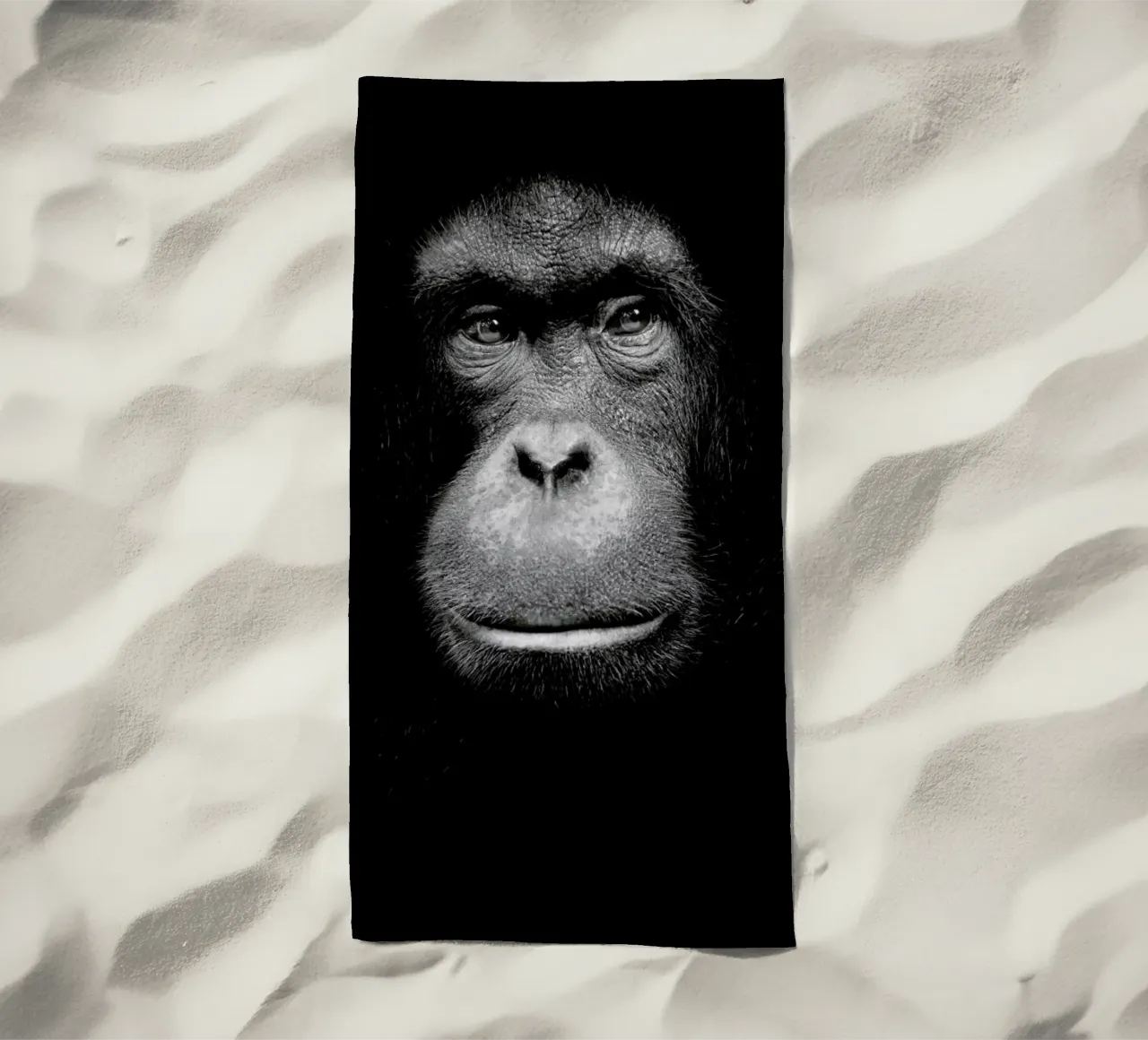 A Certain Kind of Wisdom telo mare da Natural Kingdom