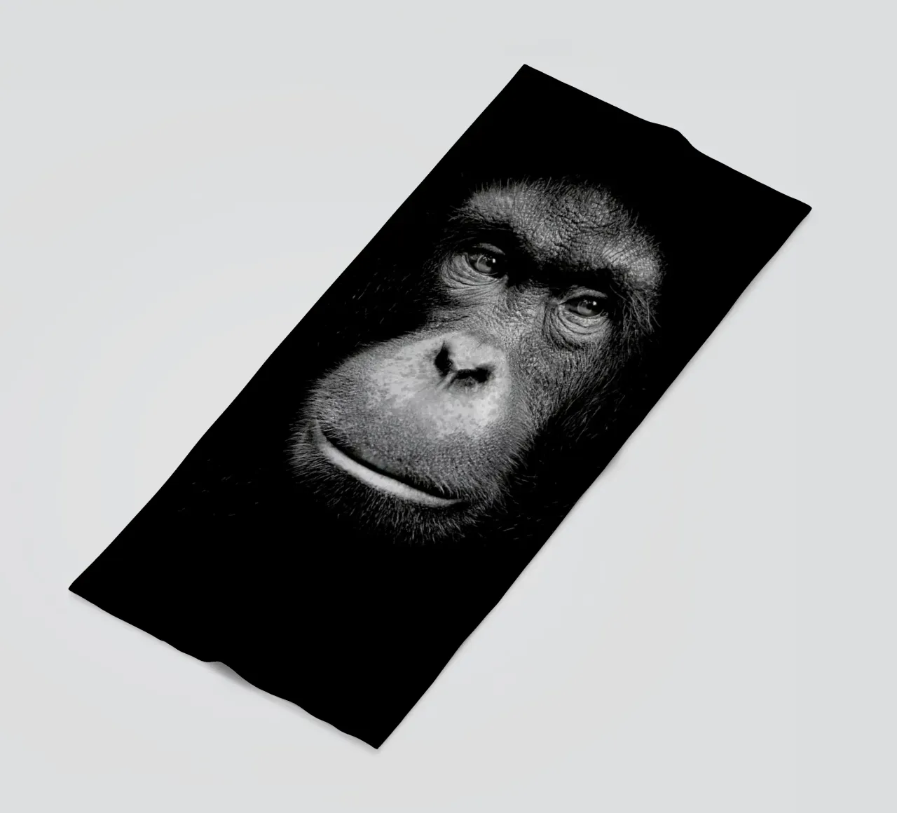 A Certain Kind of Wisdom telo mare da Natural Kingdom