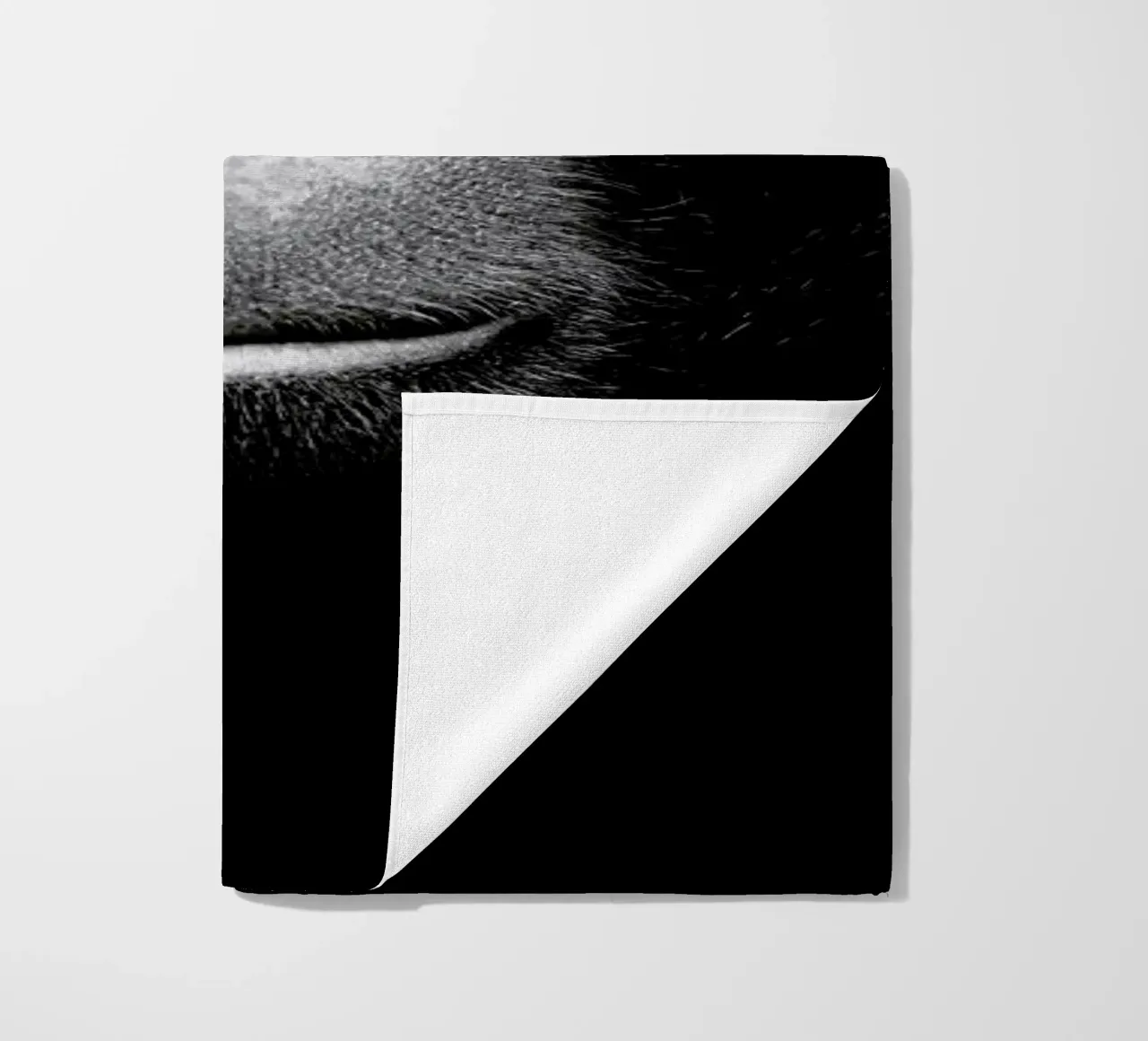 A Certain Kind of Wisdom telo mare da Natural Kingdom