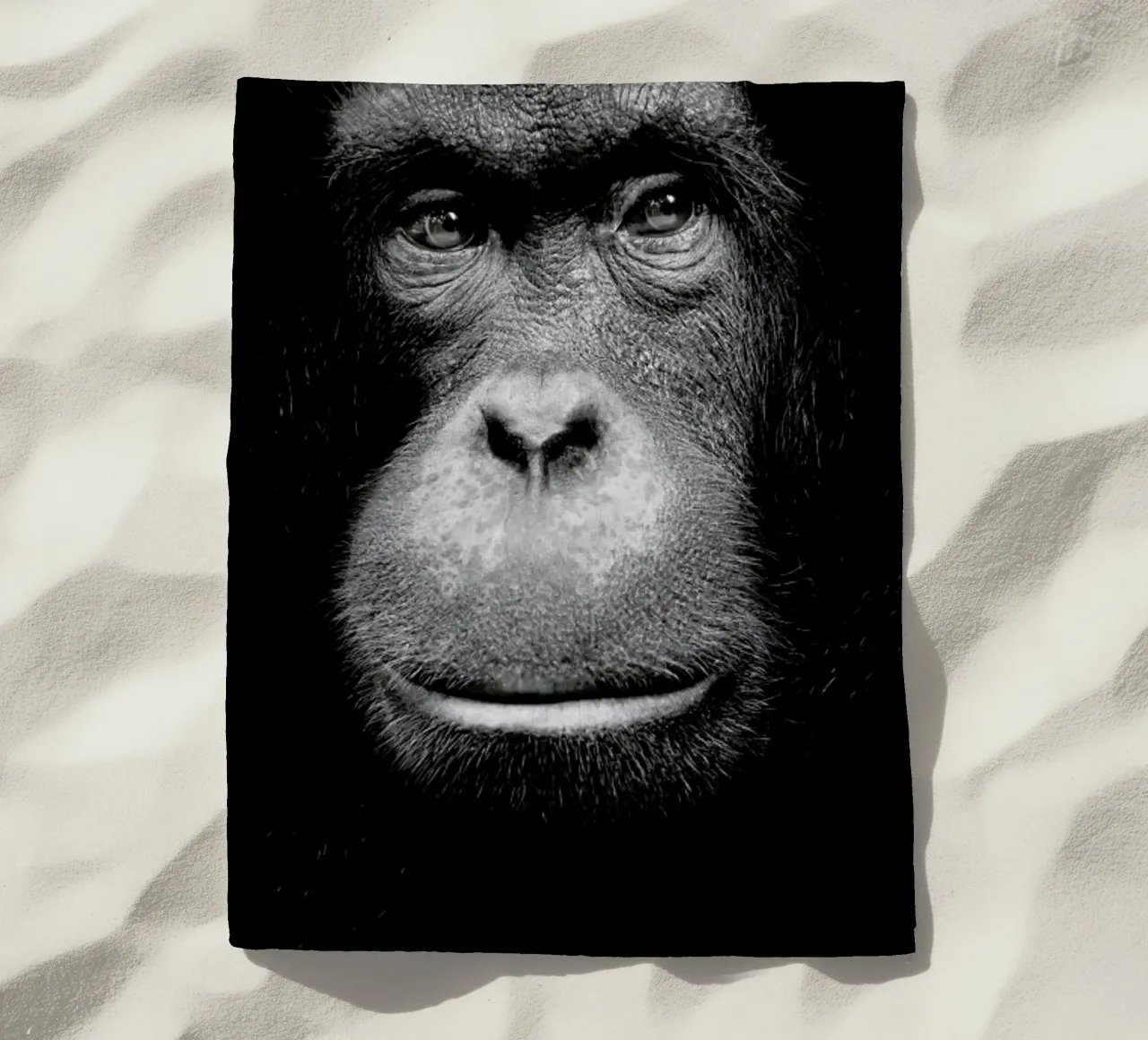 A Certain Kind of Wisdom telo mare da Natural Kingdom