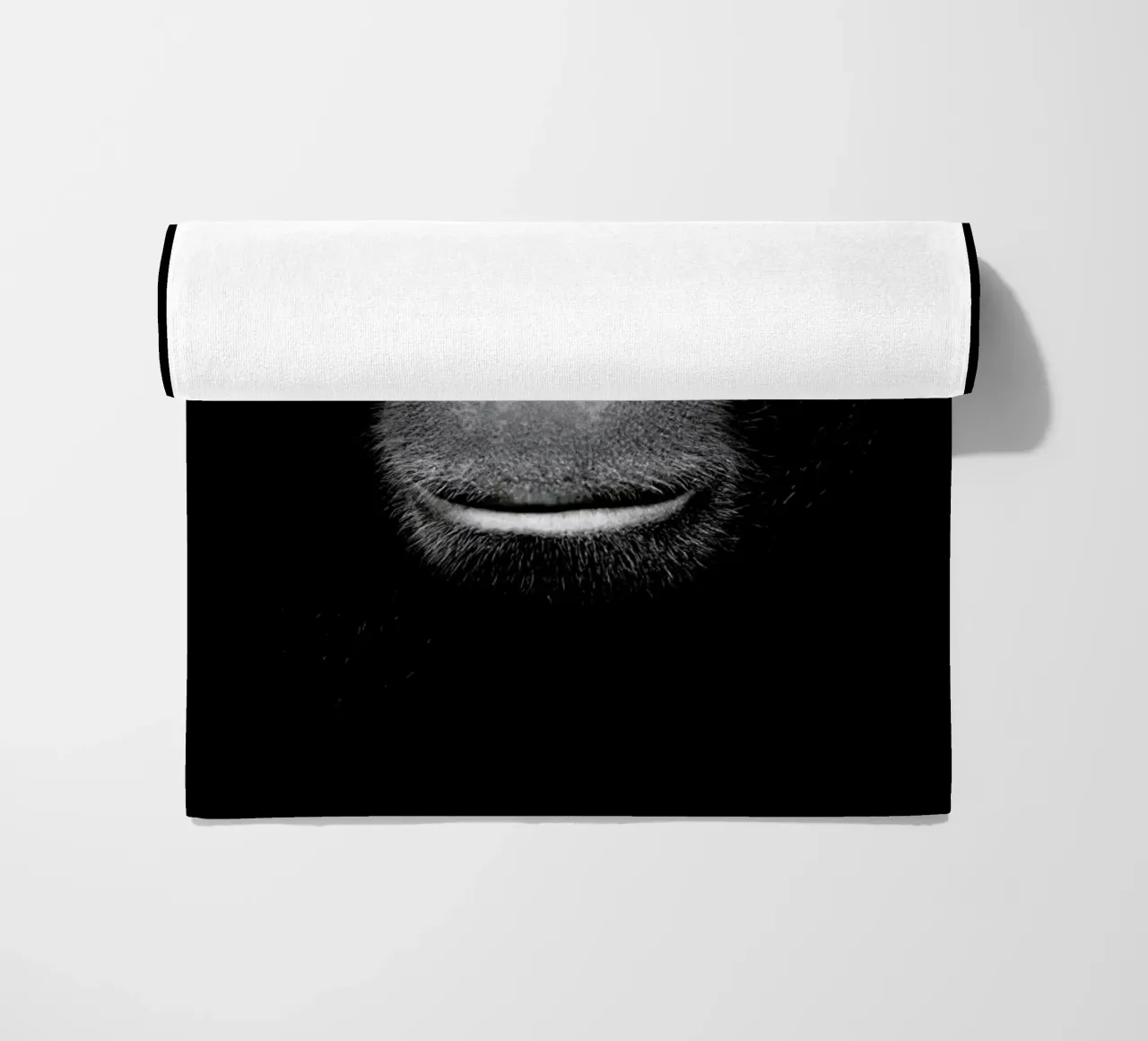 A Certain Kind of Wisdom telo mare da Natural Kingdom