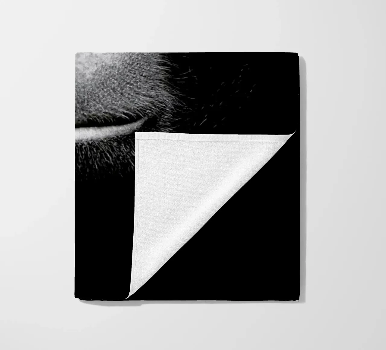 A Certain Kind of Wisdom telo mare da Natural Kingdom