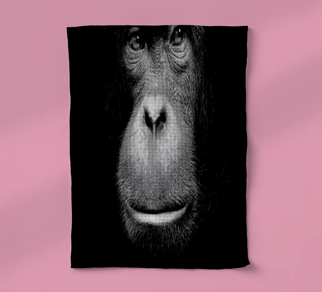 A Certain Kind of Wisdom torchon de Natural Kingdom