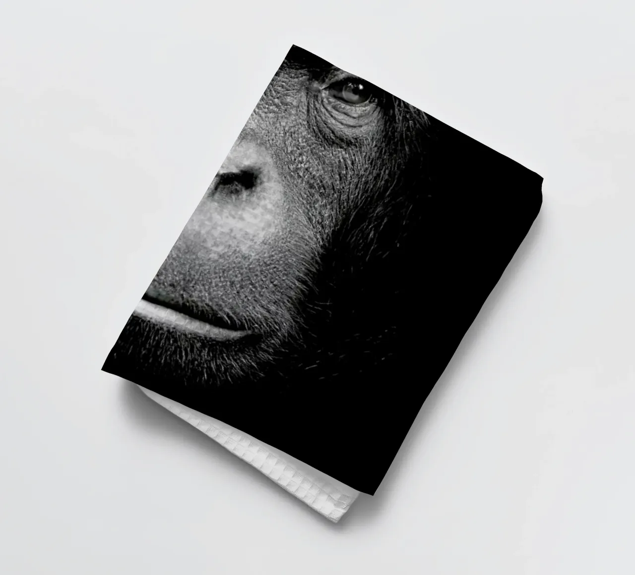 A Certain Kind of Wisdom torchon de Natural Kingdom