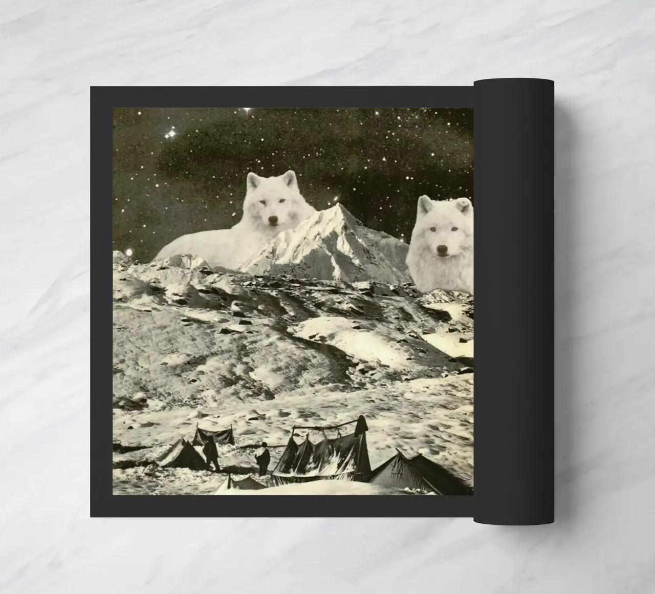 White Wolves zerbino da Florent Bodart