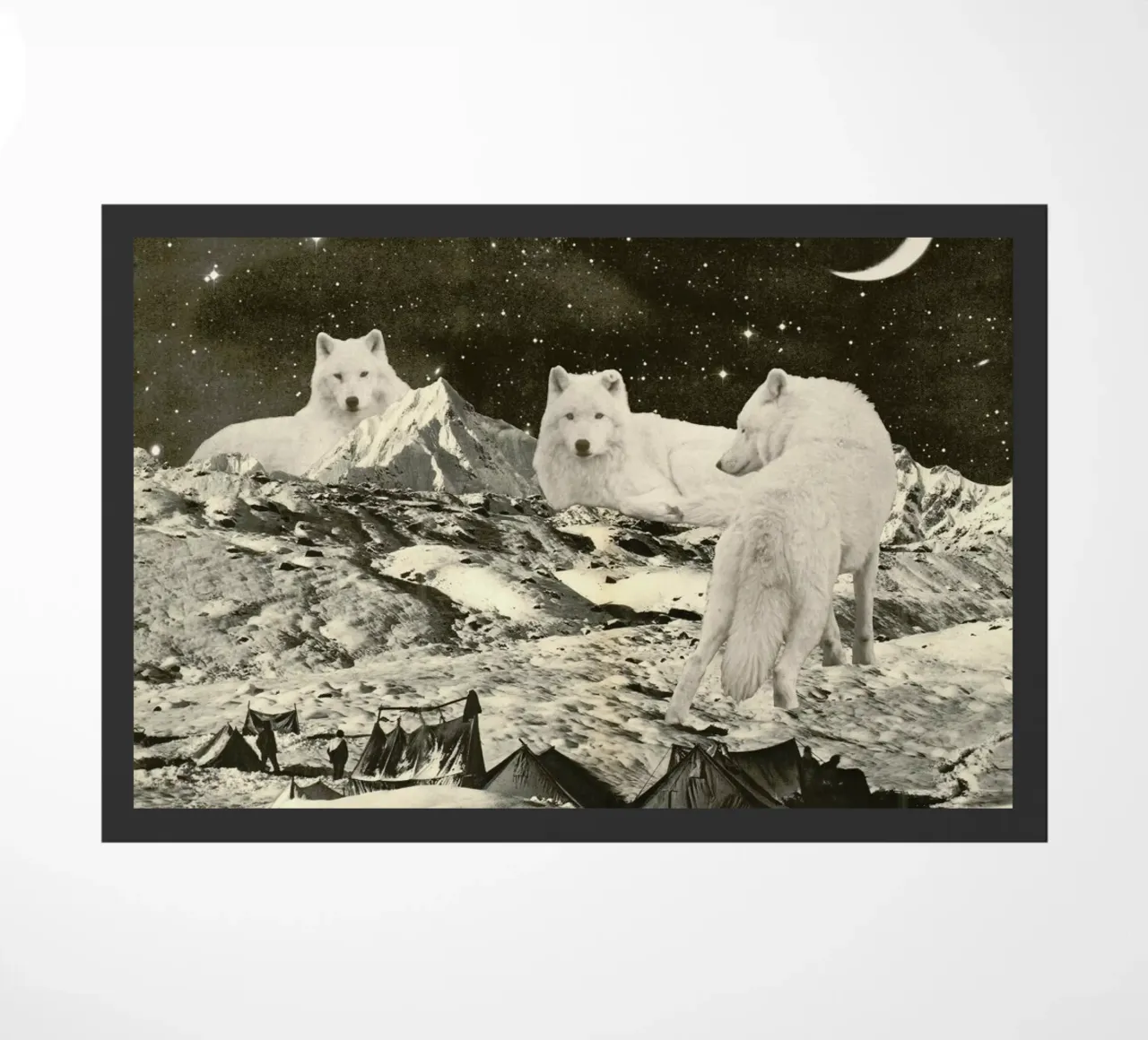 White Wolves zerbino da Florent Bodart