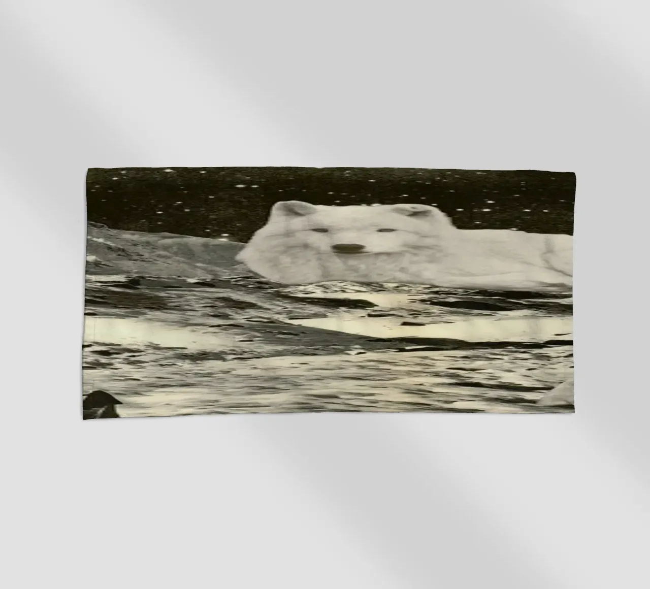 White Wolves telo mare da Florent Bodart