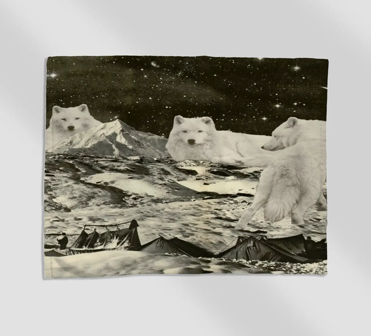 White Wolves telo mare da Florent Bodart