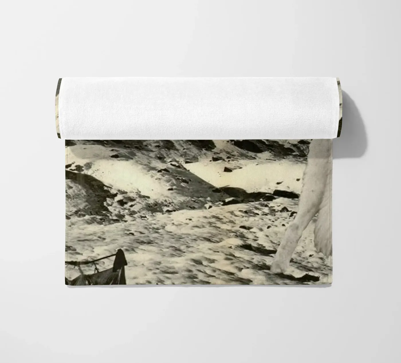 White Wolves telo mare da Florent Bodart