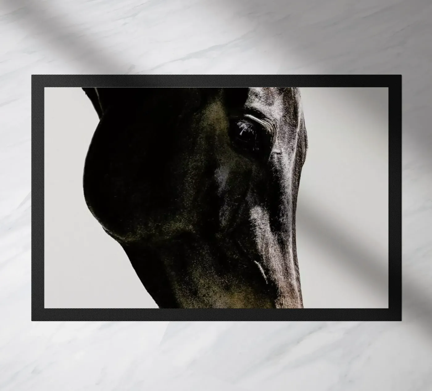 Bingo zerbino da Shot By Clint