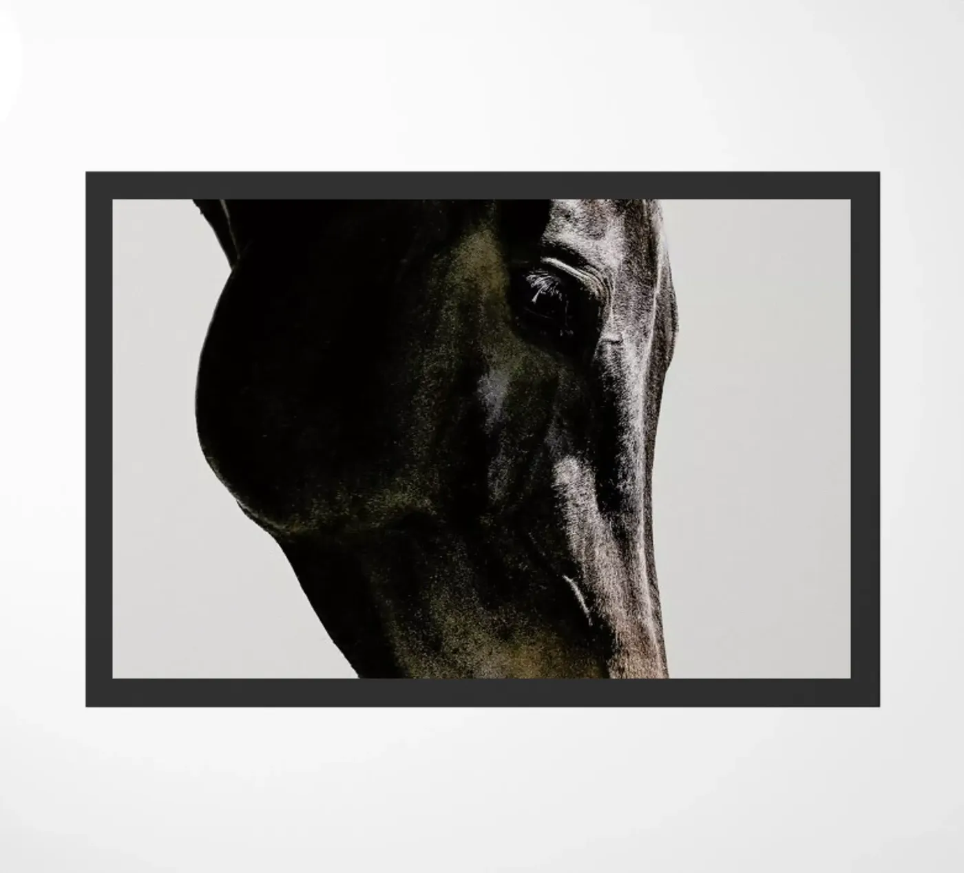 Bingo zerbino da Shot By Clint